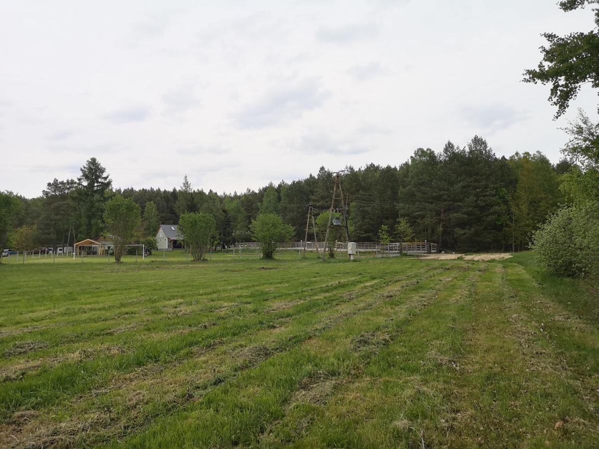 Agroturystyka Plener Miedzichowo Exterior foto